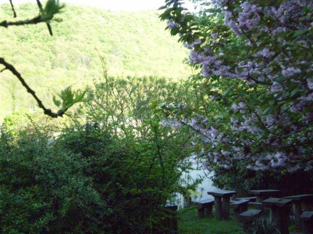 Vadregeny Panzio Bed & Breakfast Esztergom Ngoại thất bức ảnh
